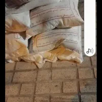 نیازمند شاطر تنور گازی یا چونه گیر