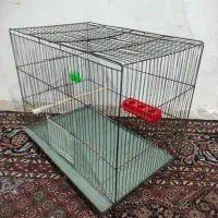 قفس پرنده