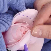 جراحی زیبایی زنان و روشن‌سازی