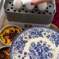 ظرف غذای برقی