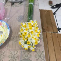 استخدام اشپز