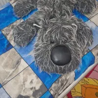 عروسک سگ بزرگ خوابیده