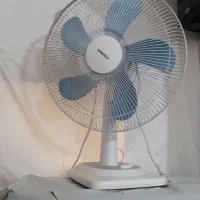پنکه