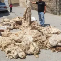 پشم فروشی حاجی حمیدی