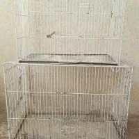 قفس ۶۰در۴۰ جفتگاهی