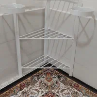جاگلدونی