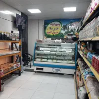 واگذاری لبنیاتی