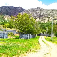 سردسیر. ملک پای کوه دنا شاهرخ