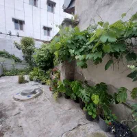 ویلایی-سنددار-یخسازی