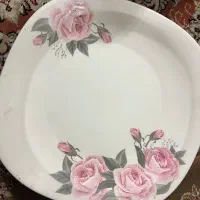 سرویس ارکوپال