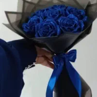 روبانی چن شاخه