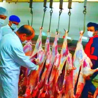 قلمآبی*زیرقیمت تمام همکاران (گوسفند زنده)بادیجیتال