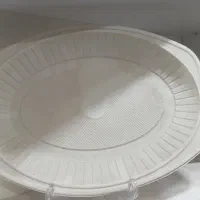 استخدام حسابدار