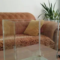 آکواریوم شیشه خم