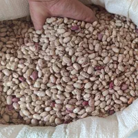 لوبیا چیتی