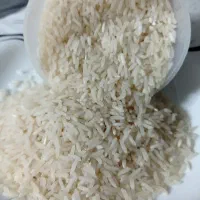 برنج فجر محلی فوق علاء