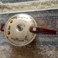 زودپز 11لیتری