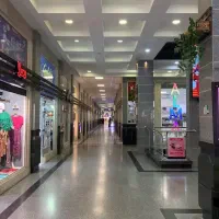 سرمایه گذاری تجاری