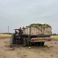تریلی لبه دار دو محور