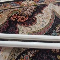 دو عدد مهتابی سالم
