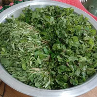 سبزیجات پاک شده شسته شده و خرد شده