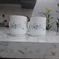 لیوان