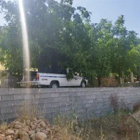 مزدا 2000