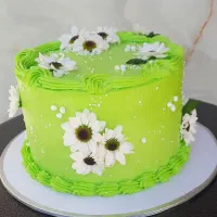 کیک صدف|خوردنی و آشامیدنی|خوی, |دیوار