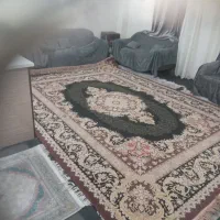 قالی در حد نوه