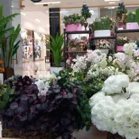 گل فروشی و درختچه
