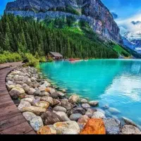 هم بازی