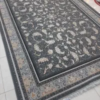 نگار طوسی