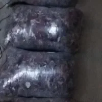 الیاف پتو گلبافت...و 6متر پرگیر