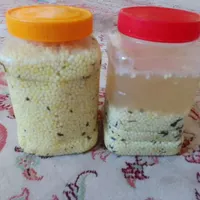 شغل‌خانگی‌پرورش‌حلزون کاردرمنزل خریدتخم وحلزون|استخدام بازاریابی و فروش|کرمانشاه, |دیوار