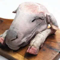نیرو کله پاچه تمیزکن و شریک کله پزی