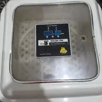دستگاه جوجه کشی