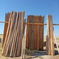 فروش چوب نو