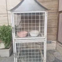 قفس کبوتر