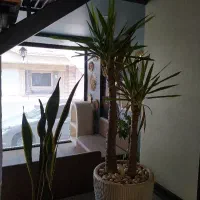 سالن کار و پارکبان