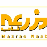 نیروی نیمه ماهر