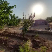 فروش باغ ۸ساله
