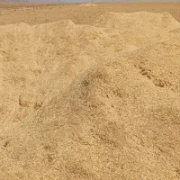فروش کاه دیم