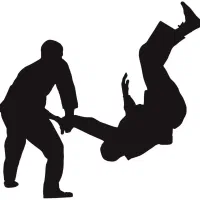 آموزش خصوصی دفاع شخصی در محل هنرجو