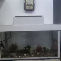 اکواریوم