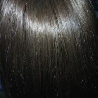 کلاه گیس