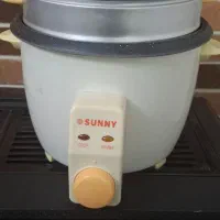 پلوپز برقی