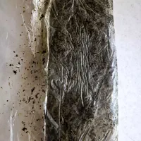 سبزی قورمه