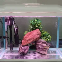 اکواریم k580 دلسا