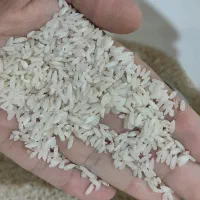 برنج عنبربو/شمشیری - سرابله