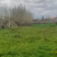 زمین مسکونی ۵۰۰متری بر آسفالت محلی